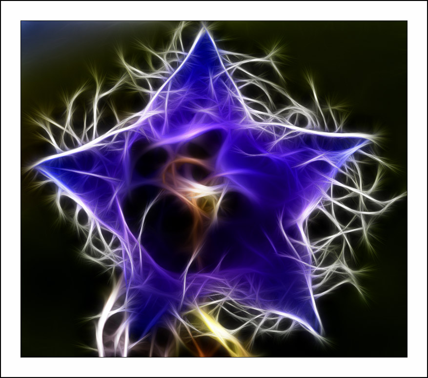 ������� :: Fractalius art :: ���������� 1
