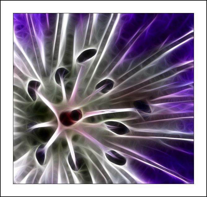 ������� :: Fractalius art :: ���������� 1