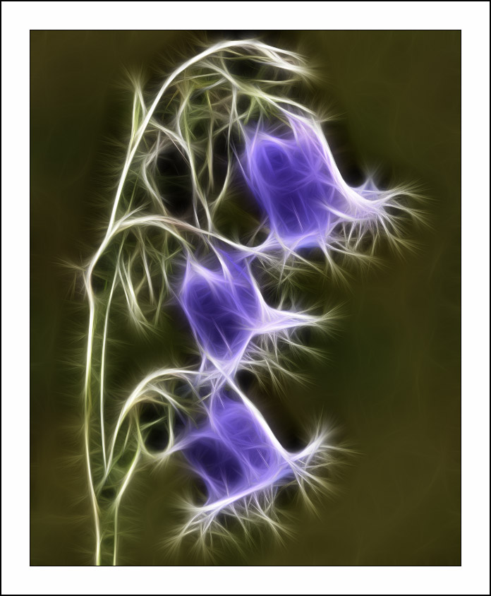 ������� :: Fractalius art :: ���������� 1