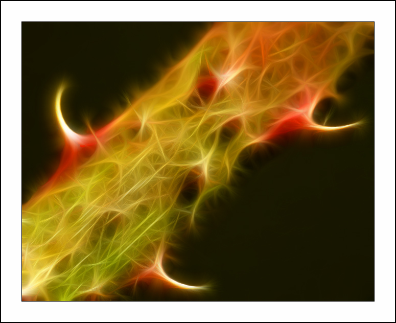 ������� :: Fractalius art :: ���������� 1