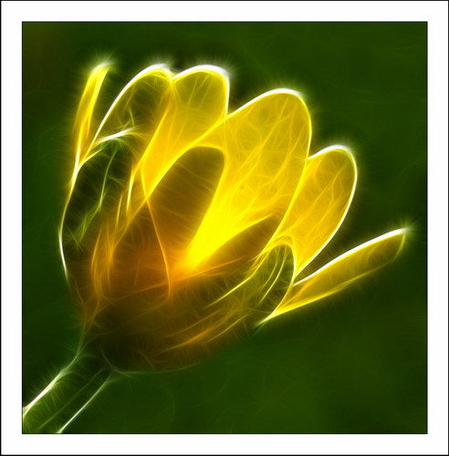 ������� :: Fractalius art ���� 18