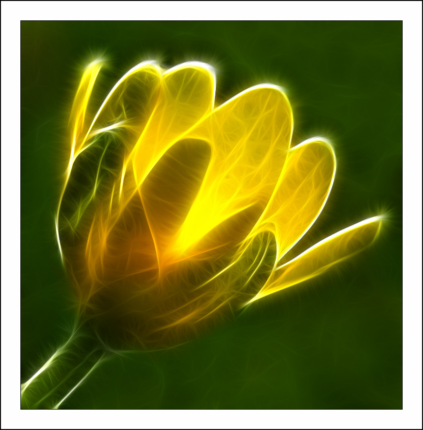 ������� :: Fractalius art :: ���������� 1