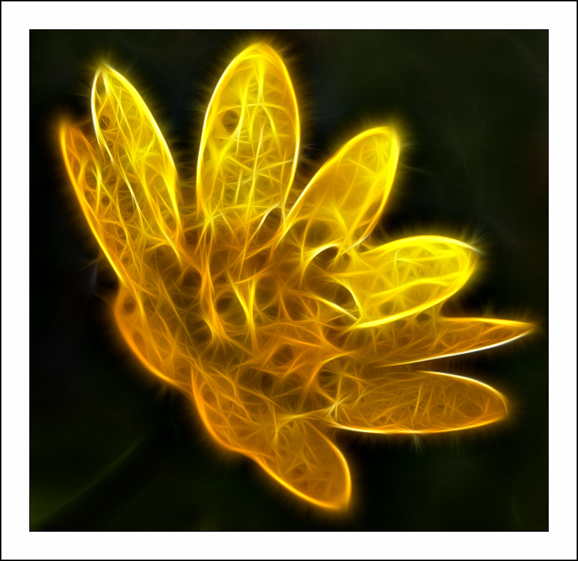 ������� :: Fractalius art :: ���������� 1