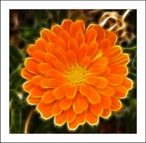 ������� :: Fractalius art ���� 21