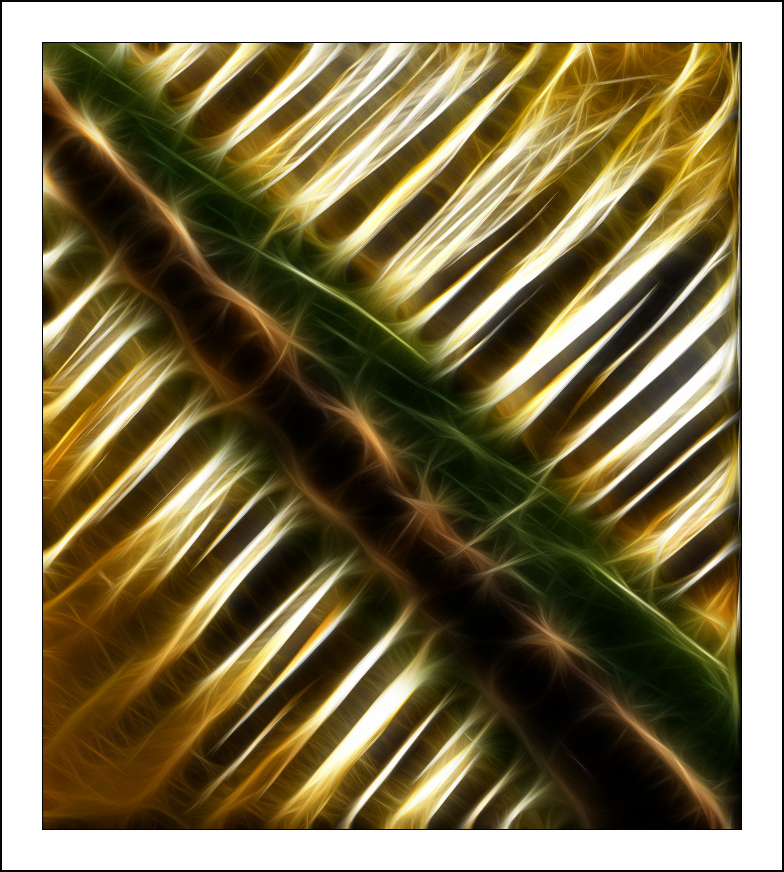 ������� :: Fractalius art :: ���������� 1