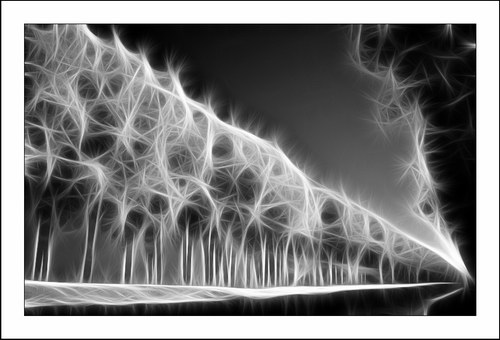 ������� :: Fractalius art ���� 24