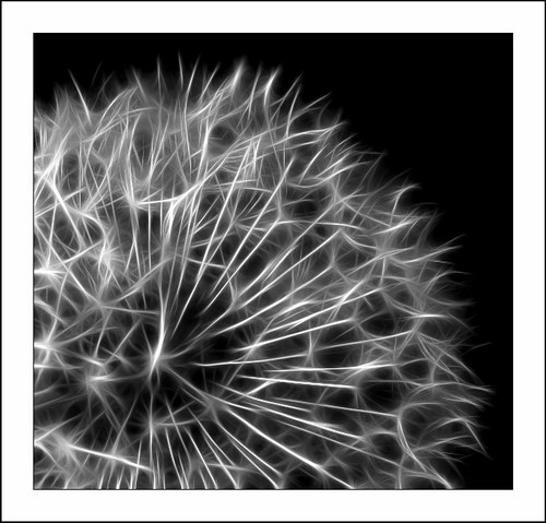 ������� :: Fractalius art ���� 28