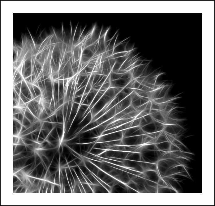 ������� :: Fractalius art :: ���������� 1