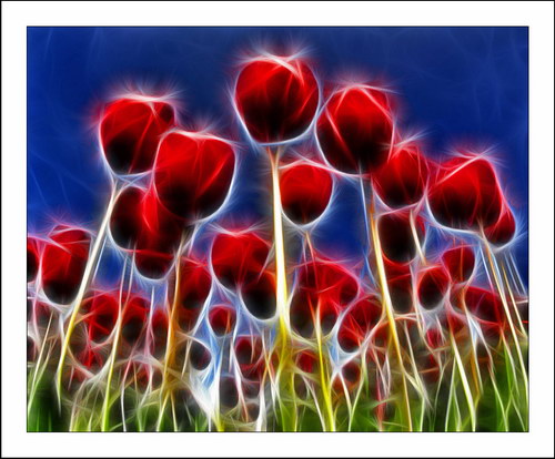 ������� :: Fractalius art ���� 29