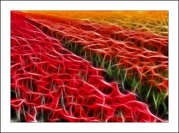 ������� :: Fractalius art :: ���������� 1