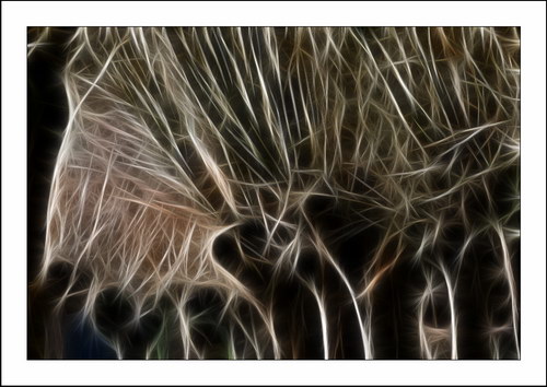 ������� :: Fractalius art ���� 32