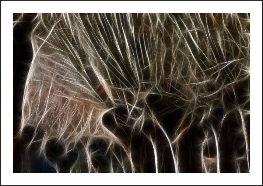������� :: Fractalius art :: ���������� 1