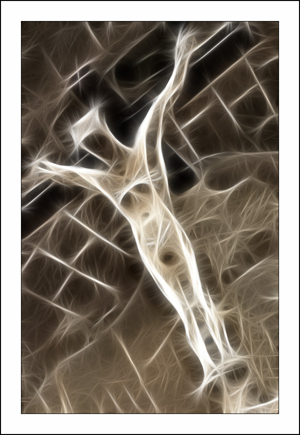 ������� :: Fractalius art :: ���������� 1