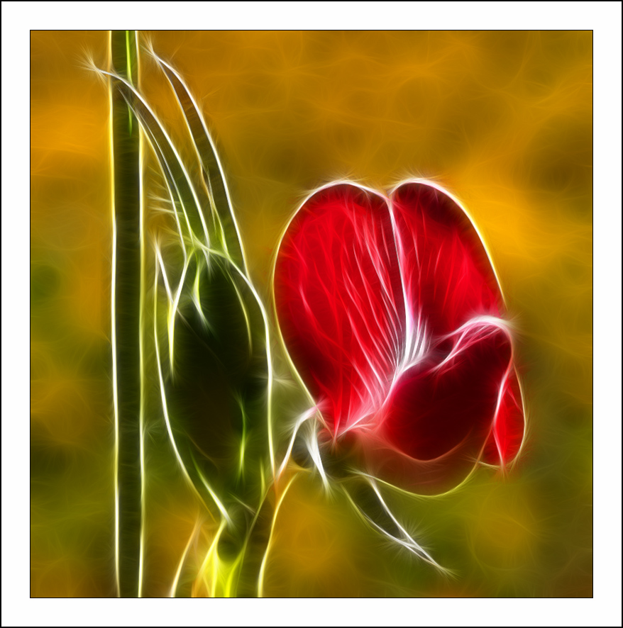 ������� :: Fractalius art :: ���������� 1