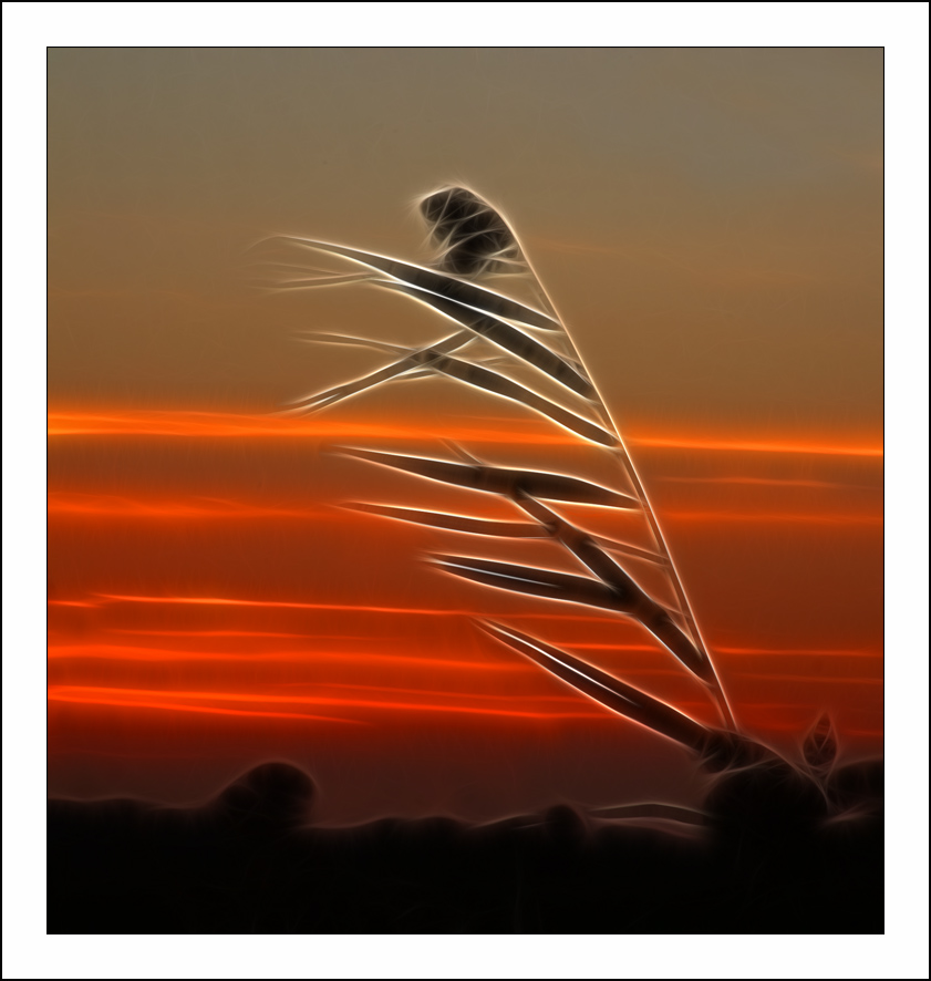 ������� :: Fractalius art :: ���������� 1