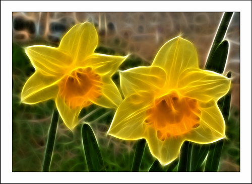 ������� :: Fractalius art ���� 38
