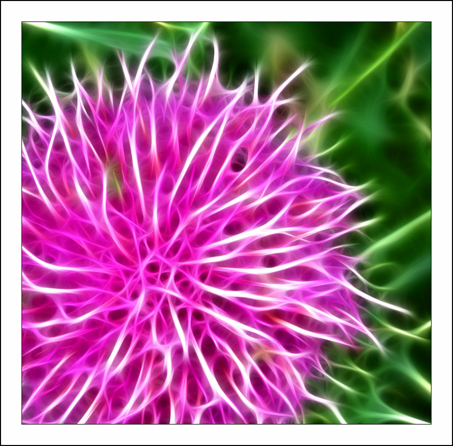 ������� :: Fractalius art :: ���������� 1