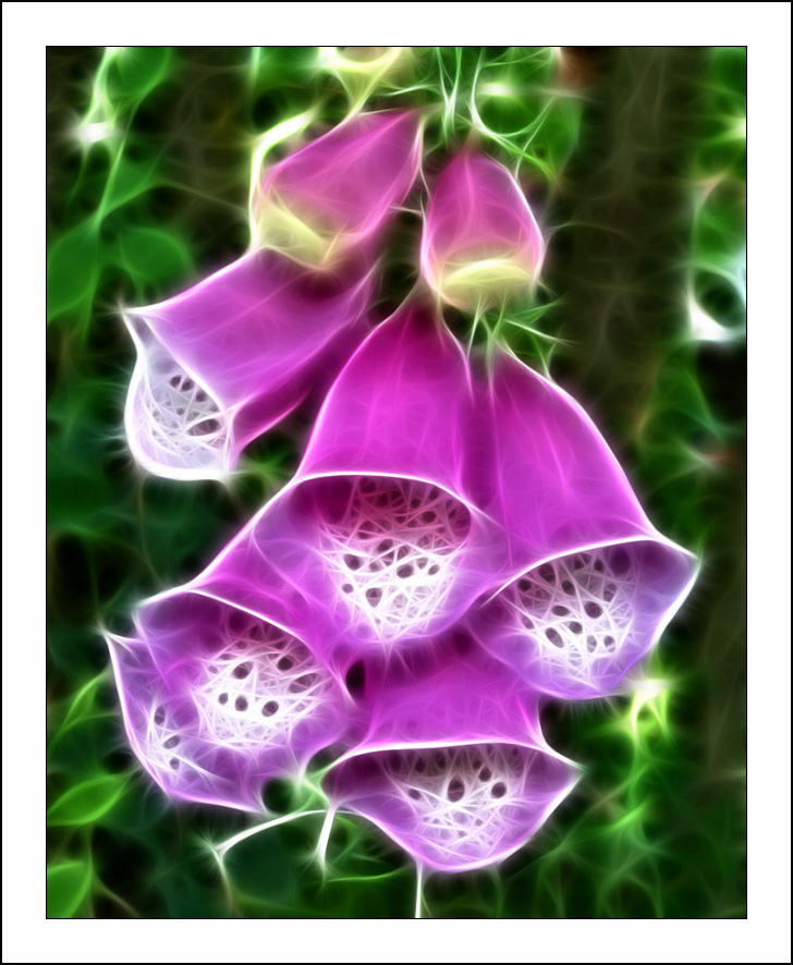 ������� :: Fractalius art :: ���������� 1