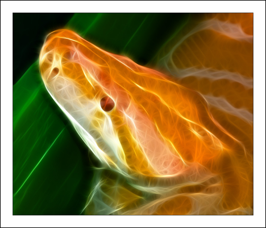 ������� :: Fractalius art :: ���������� 1