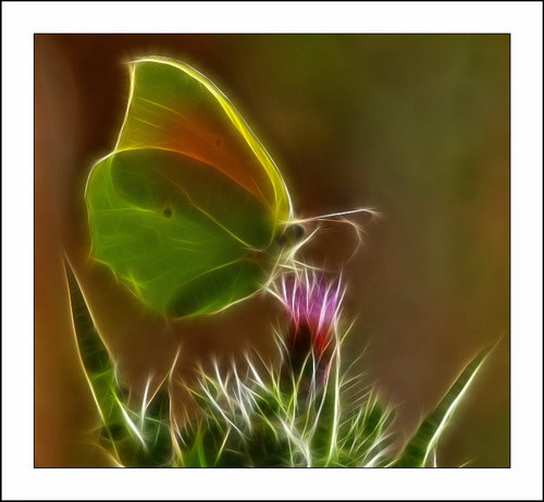 ������� :: Fractalius art ���� 44