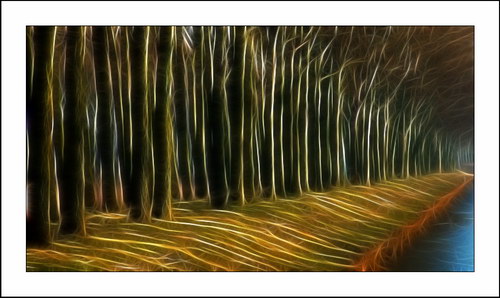 ������� :: Fractalius art ���� 46