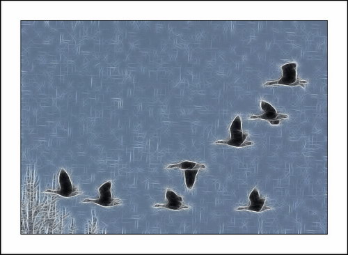 ������� :: Fractalius art ���� 49