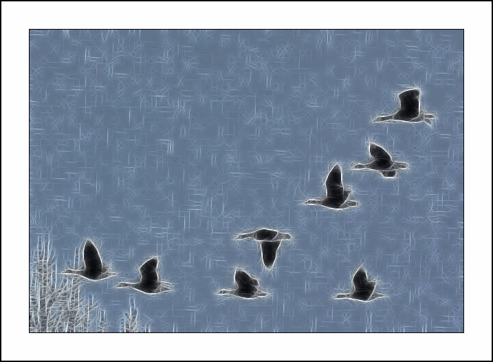 ������� :: Fractalius art :: ���������� 1