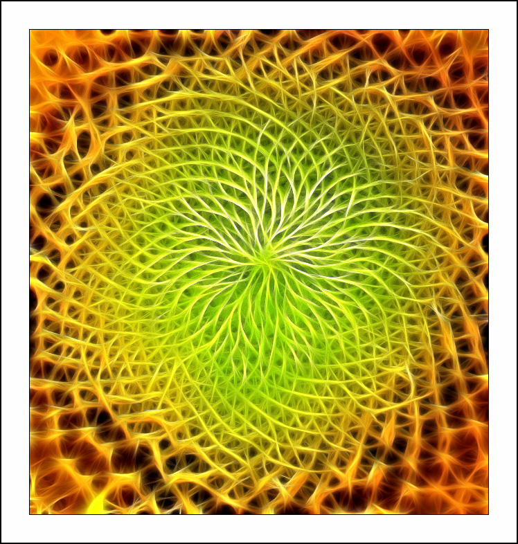 ������� :: Fractalius art :: ���������� 1