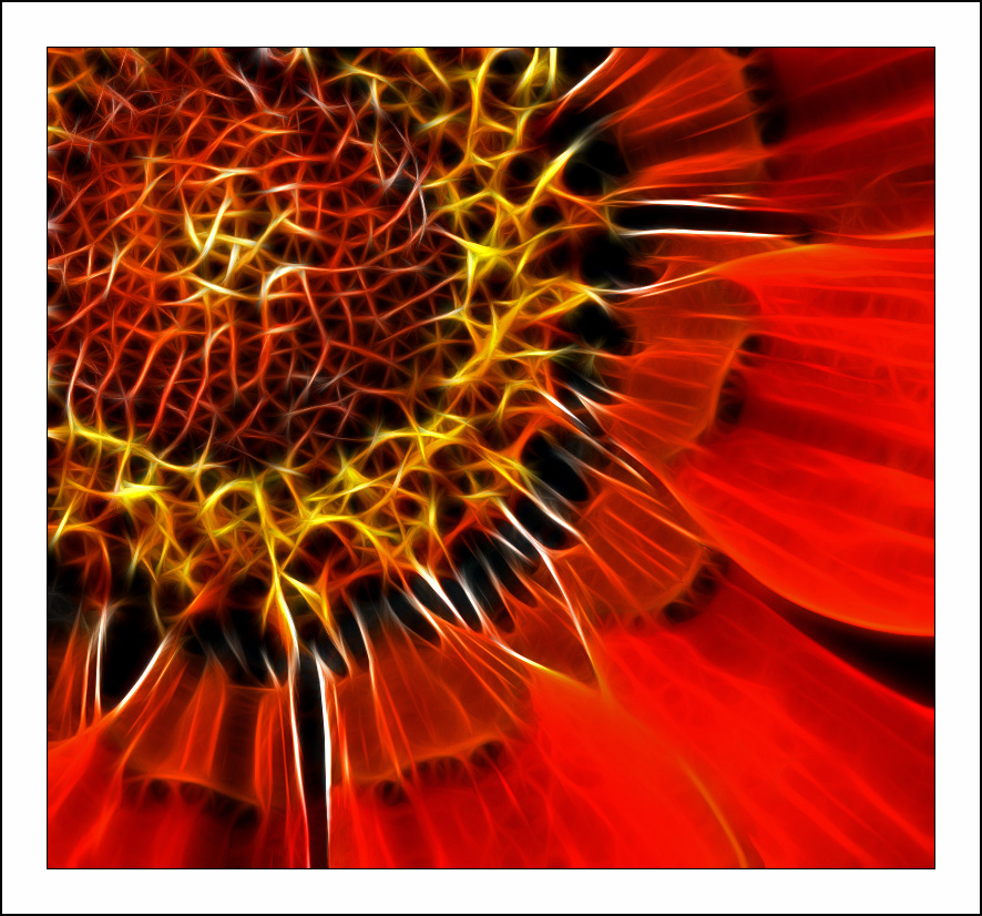 ������� :: Fractalius art :: ���������� 1
