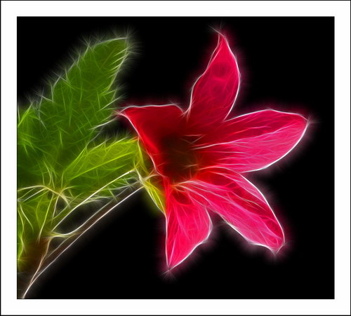 ������� :: Fractalius art ���� 57