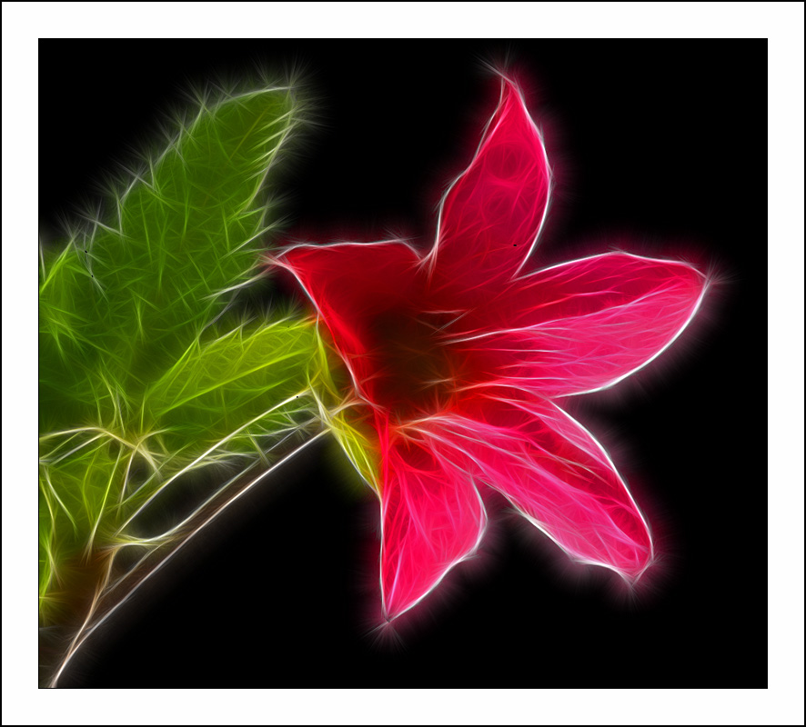 ������� :: Fractalius art :: ���������� 1