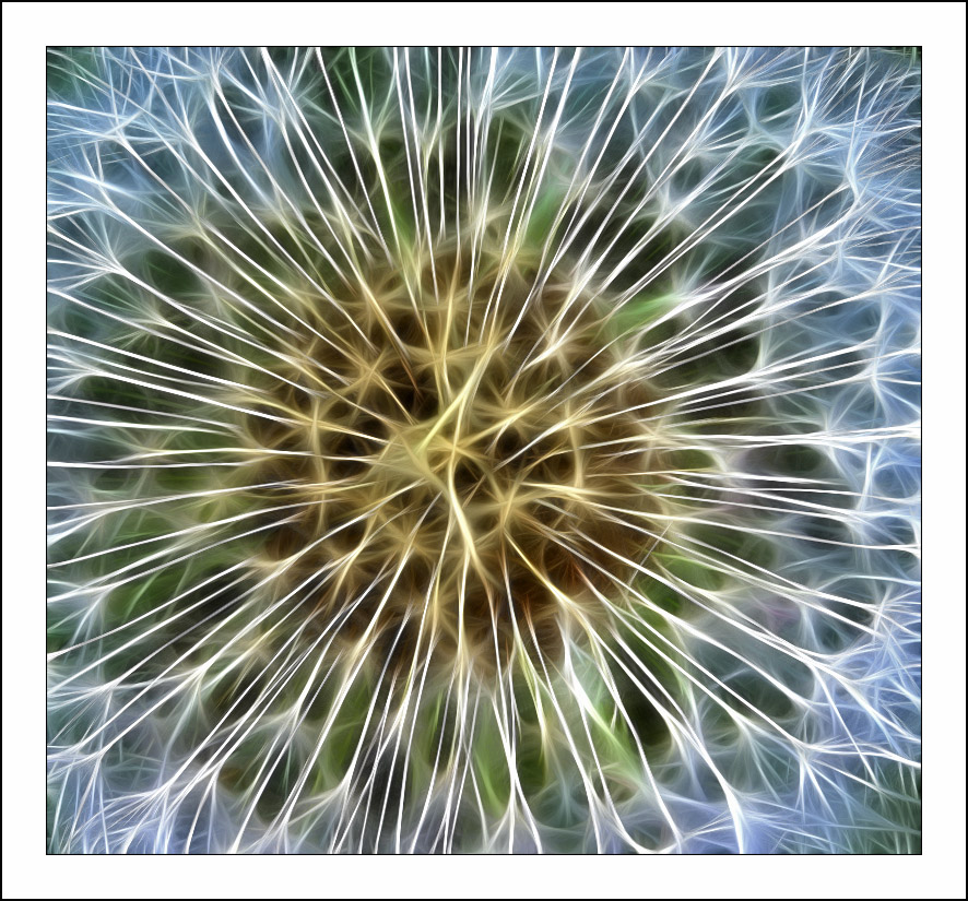 ������� :: Fractalius art :: ���������� 1
