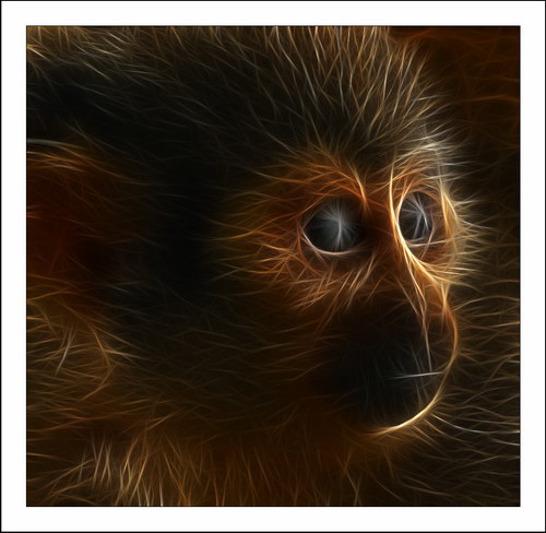 ������� :: Fractalius art ���� 60