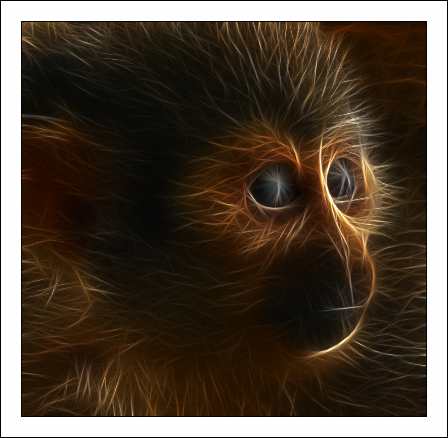 ������� :: Fractalius art :: ���������� 1