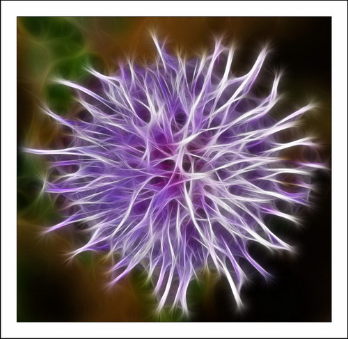 ������� :: Fractalius art ���� 61