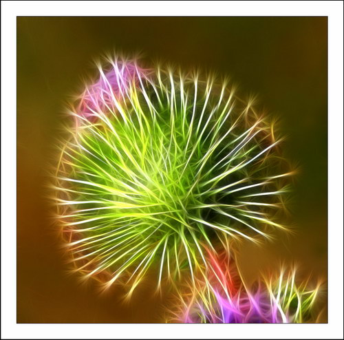 ������� :: Fractalius art ���� 62