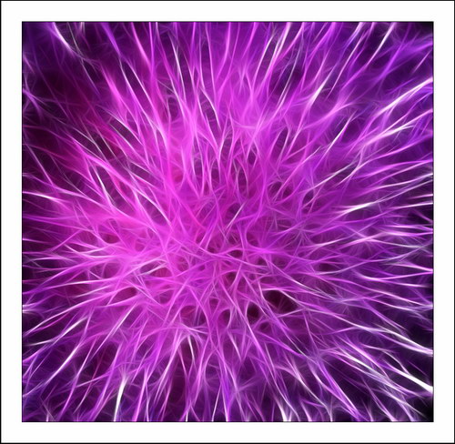 ������� :: Fractalius art ���� 63