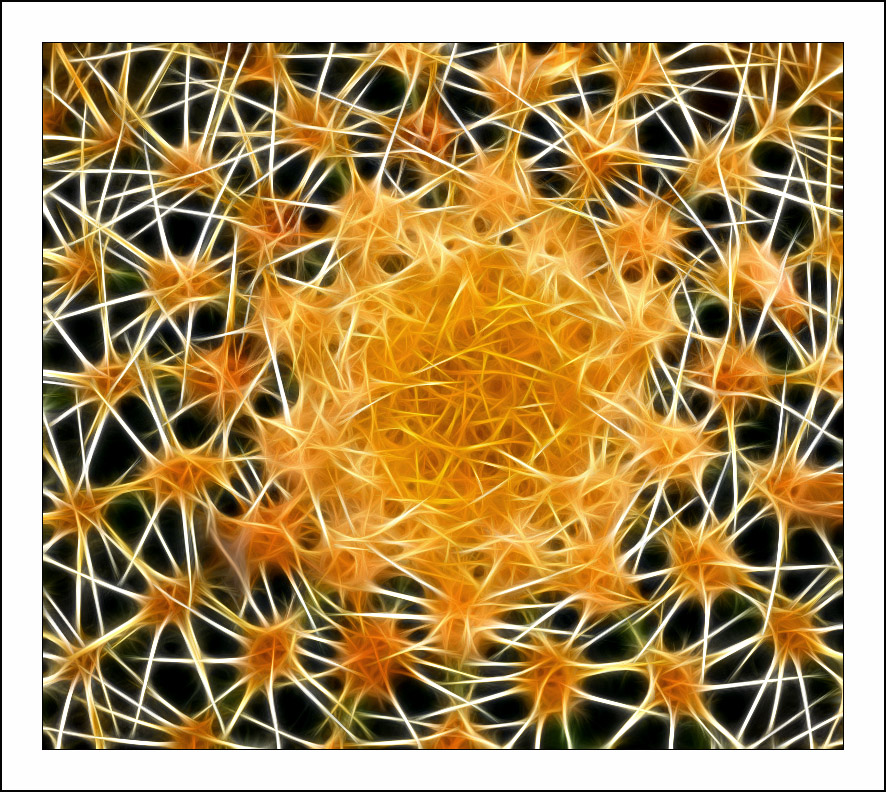 ������� :: Fractalius art :: ���������� 1