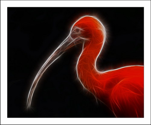 ������� :: Fractalius art ���� 65