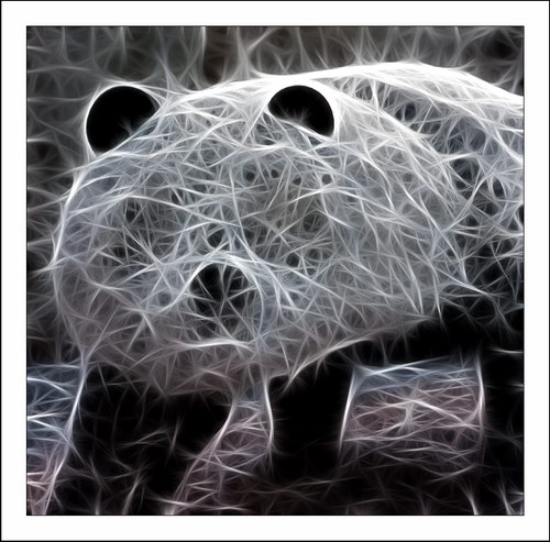 ������� :: Fractalius art ���� 66