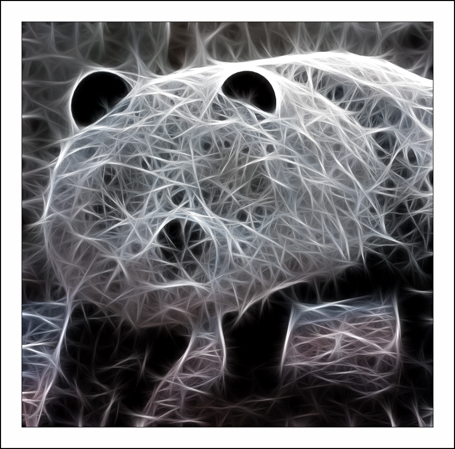������� :: Fractalius art :: ���������� 1