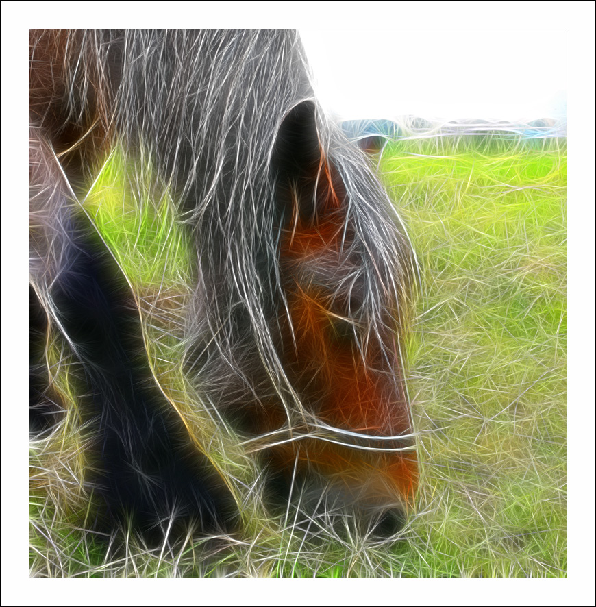 ������� :: Fractalius art :: ���������� 1