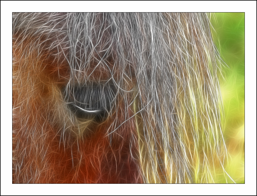������� :: Fractalius art :: ���������� 1