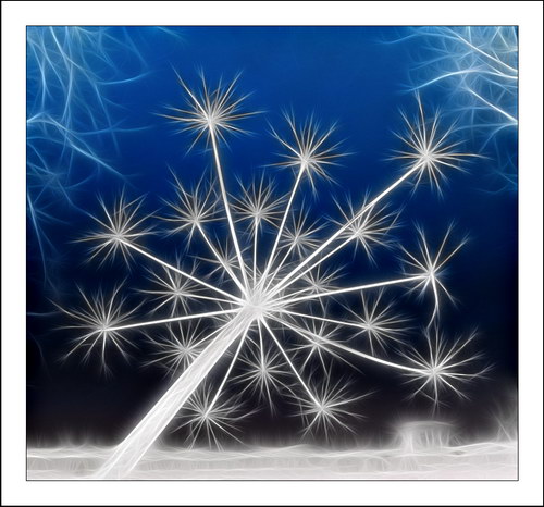 ������� :: Fractalius art ���� 77