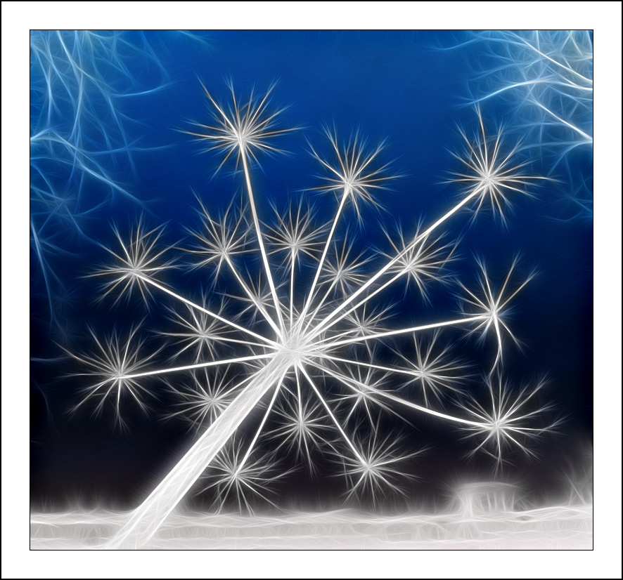 ������� :: Fractalius art :: ���������� 1