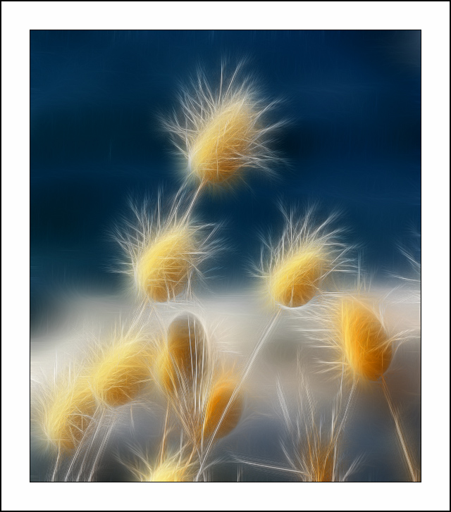 ������� :: Fractalius art :: ���������� 1