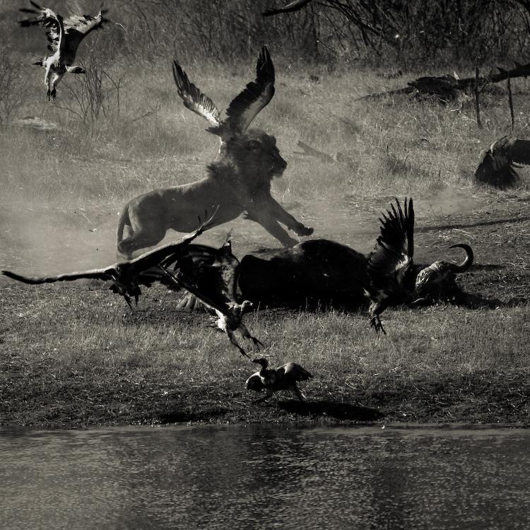 ����������� �� �������� :: ���������� 2
