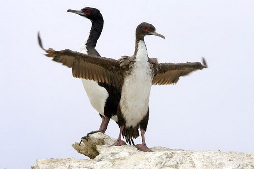 �������� �������� ���� 12