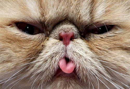 �������� ��� :: ������ ���� ������� ���� 27