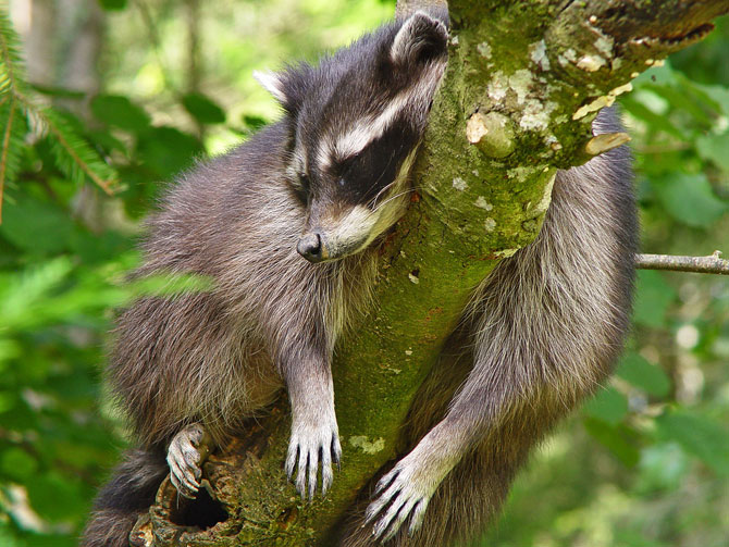 �������� �������� :: ���������� 1